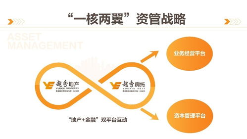 商業(yè)綜合體管理服務(wù) 構(gòu)建高效運(yùn)營(yíng)與卓越體驗(yàn)的橋梁